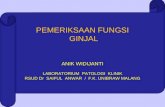 Kuliah Faal Ginjal 2010 Edit