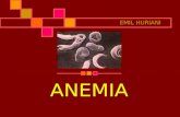 asuhan kepperawatan anemia