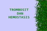 5. Trombosit & Homeostatis