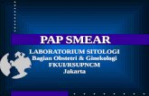 Kuliah Pap Smear Ppds