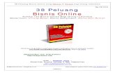 38 Peluang Bisnis Online