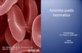 Anemia Pada Neonatus2