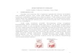 Copy of Referat Radiologi HIRSCHSPRUNG DISEASE 03