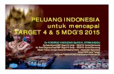 1. DR SOERJO Peluang Indonesia Mencapai Target MDGs
