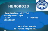 Powerpoint Hemoroid 2