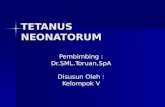 Copy of TETANUS NEONATORUM.ppt