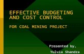 Effective Budgeting and Cost Control