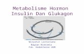 Met. Insulin &Glukagon (2)