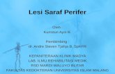 Lesi Saraf Perifer