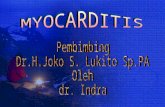 Present Myocarditis