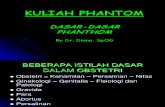 Dasar2 Phantom by Dr Diana