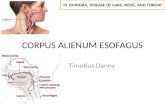 Corpus Alienum Esofagus