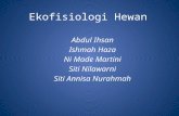EKOFISIOLOGI HEWAN
