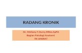 Radang Kronik-modul Demam 2010