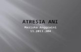 Case Atresia Ani