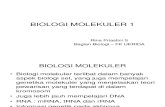Presentasi Biomol Blok 3 Per 2010 Rev