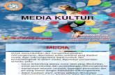 Jenis Media Kultur 2011