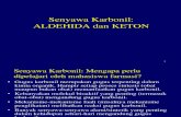 ALdehida Dan Keton-1