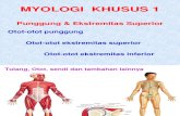 Myologia Dorsi Et Extremitas Superior (Radius FKUndip's Conflicted Copy 2013-03-16)