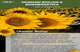 Oksidasi Biologi (II)