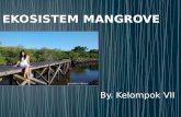 Ekosistem mangrove