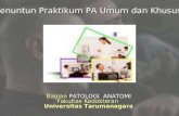 Praktikum PA Biomedik 3