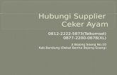0812-2222-5873(Telkomsel) | Reseller Ceker Ayam Jakarta