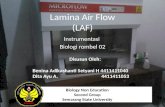 BIOUnnes_Lamina air flow (LAF)