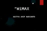 About WiMAX Technology