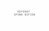 Referat spina bifida