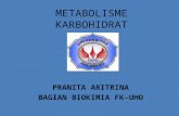 METABOLISME KARBOHIDRAT (2)