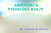 anatomi & fisisologi kulit Manusia