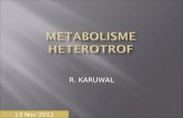 Metabolisme Heterotrof