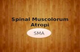 Kelompok 4 Spinal Muskular Atrophy