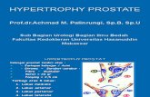 Hypertrophy Prostate