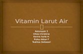 Kel. 5-Vitamin Larut Air