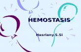 Hemostasis New