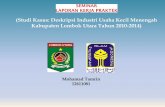Analisis Deskriptif UMKM Kabupaten Lombok Utara 2010-2014 (Statistika Ekonomi)