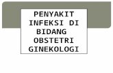 Kuliah Infeksi Pada Bidang Obst Ginekologi.