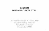 4. Sistem Muskuloskeletal.pdf