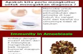 amoeba (2)