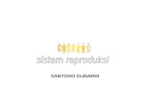 Anatomi Sistem Reproduksi - Dr. Santoso Gunardi.ppt