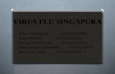 Virus Flu Singapura