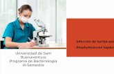 Mi Caso Clinico: staphylococcus lugdunensis