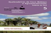 05 Quebradeiras Coco Babacu Agroextrativistas Para