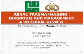 Presentasi Jurding Radiologi Sandra