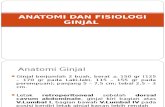 ANFIS GINJAL