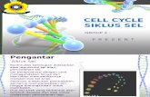 Cell Cycle (Siklus Sel)