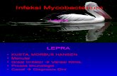 Kuliah Mikobakterium Lepra UMM 2014