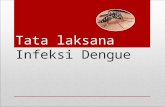 Tata Laksana Infeksi Dengue Final